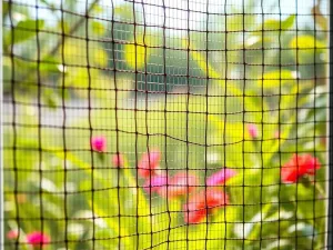 Siatki ochronne do okien – kiedy są najlepszym rozwiązaniem